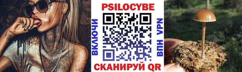 Галлюциногенные грибы GOLDEN TEACHER  Краснообск 